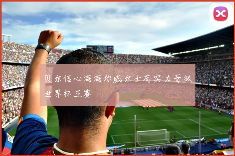 贝尔信心满满称威尔士有实力晋级世界杯正赛