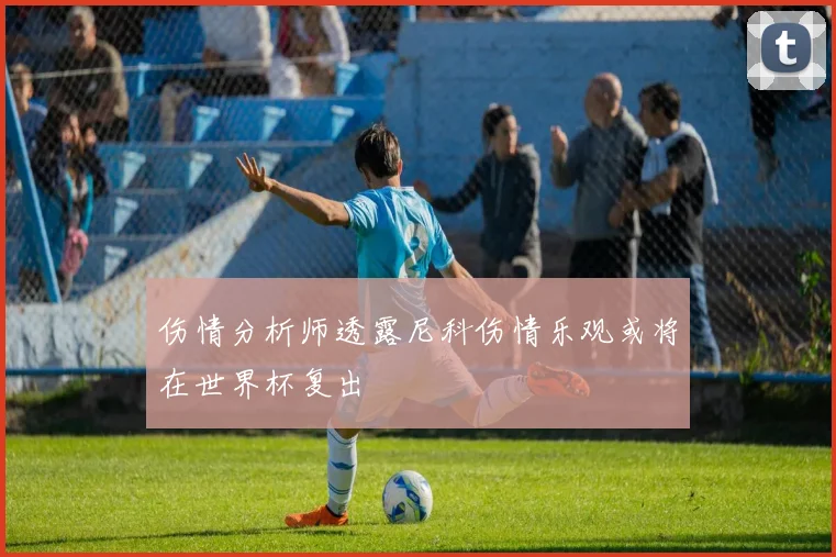 伤情分析师透露尼科伤情乐观或将在世界杯复出