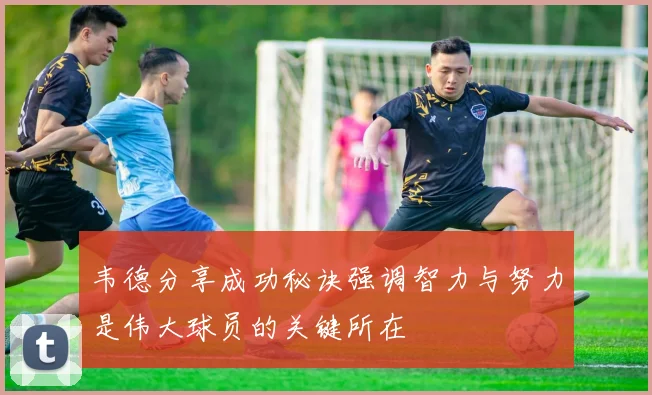 韦德分享成功秘诀强调智力与努力是伟大球员的关键所在