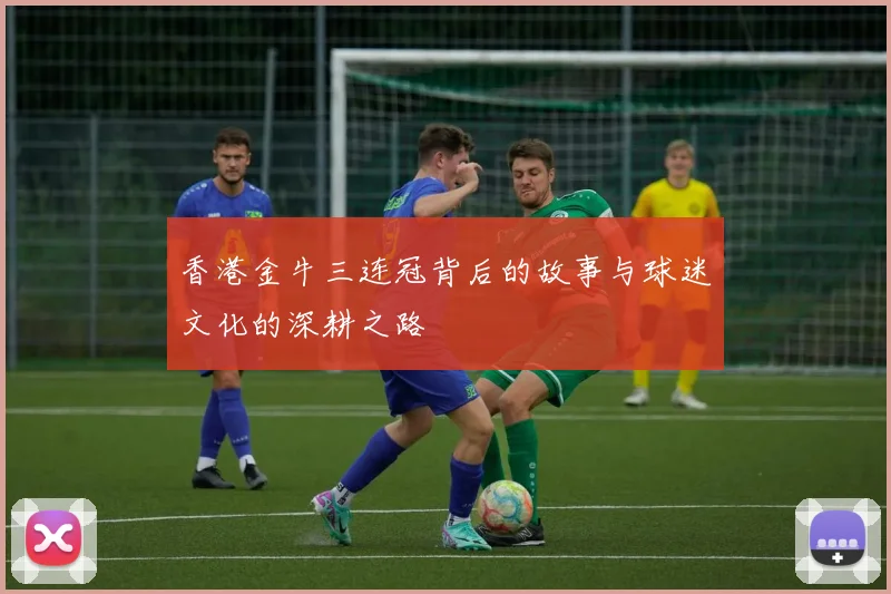香港金牛三连冠背后的故事与球迷文化的深耕之路